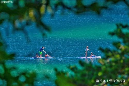 面包失恋老伤心,说要回国相亲,伊娃安慰唱体面,看评论区笑死人